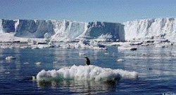 melting of glaciers