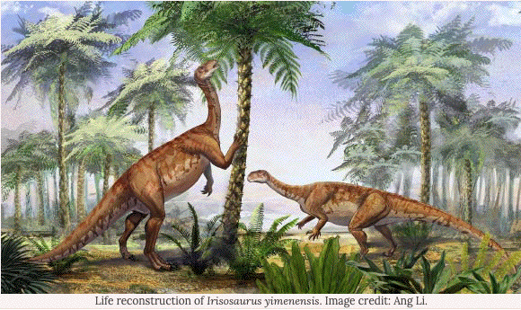 Herbivorous







                                                          dinosaurs